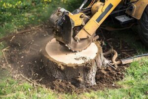 Stump Grinding for Mabelvale 